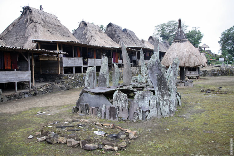 flores-village-komodo-tour.jpg
