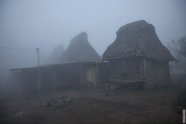 flores-village-labuan-bajo.jpg