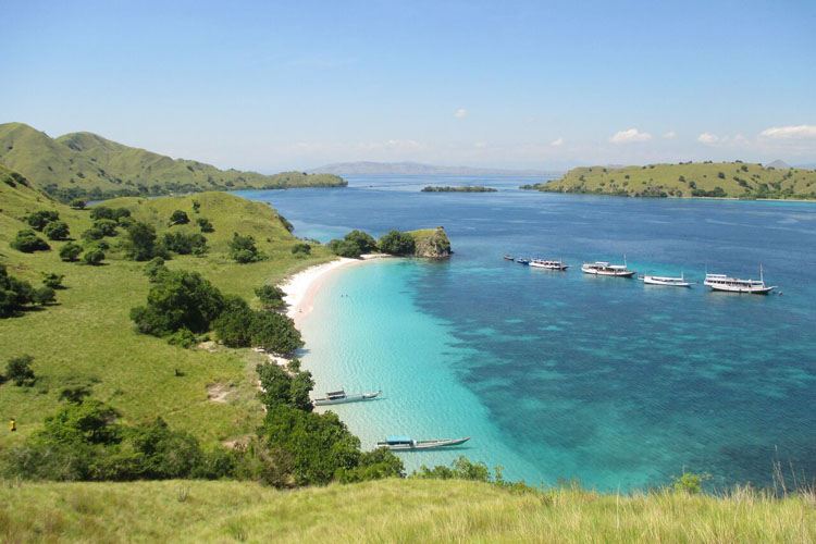 pink-beach-labuan-bajo.jpg