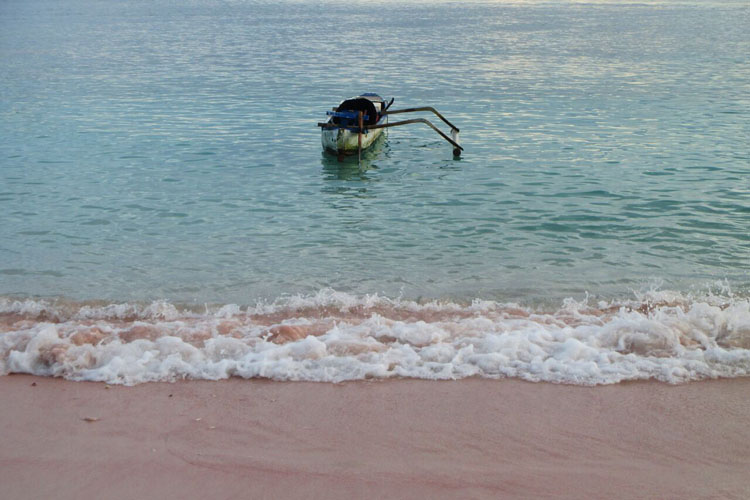 pink-beach-labuanbajo.jpg
